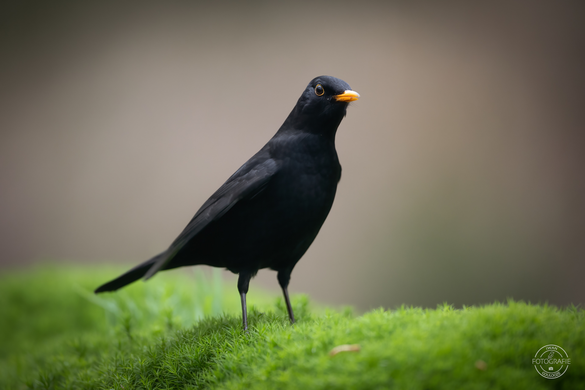 23 oktober 2022 162031 1R2A1752 bewerkt